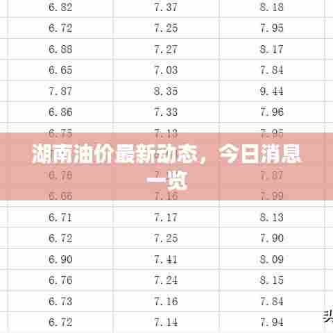 湖南油价最新动态，今日消息一览