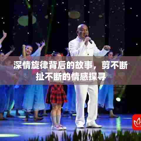 深情旋律背后的故事，剪不断扯不断的情感探寻