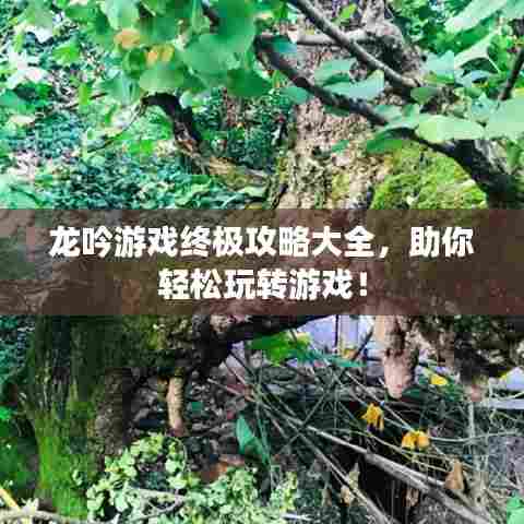 龙吟游戏终极攻略大全，助你轻松玩转游戏！