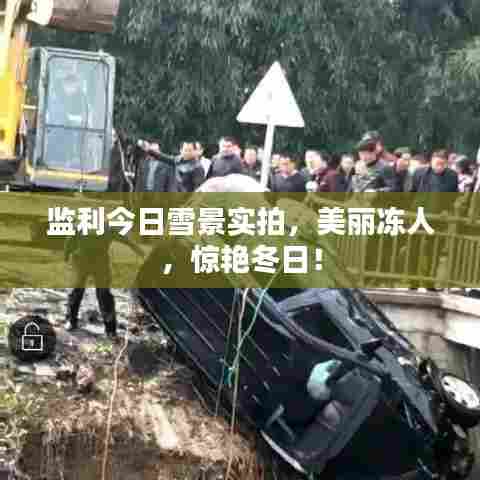 监利今日雪景实拍，美丽冻人，惊艳冬日！