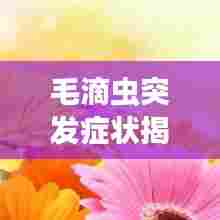 标新立异 第6页