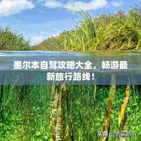 墨尔本自驾攻略大全，畅游最新旅行路线！