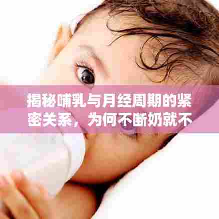 揭秘哺乳与月经周期的紧密关系，为何不断奶就不来月经？