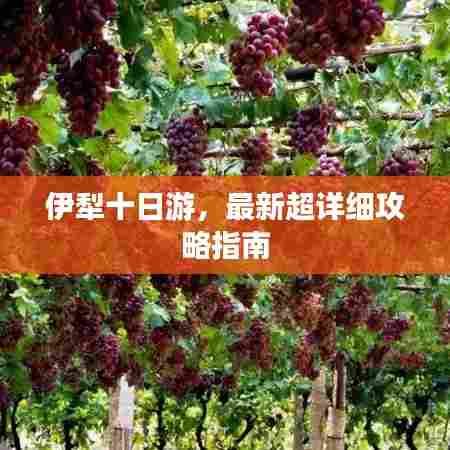 伊犁十日游，最新超详细攻略指南