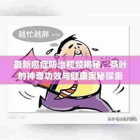 小心翼翼 第6页