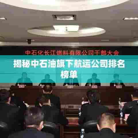 揭秘中石油旗下航运公司排名榜单