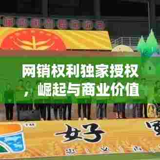 网销权利独家授权，崛起与商业价值的体现
