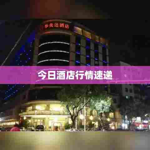 今日酒店行情速递
