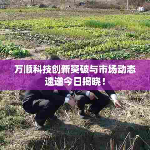 万顺科技创新突破与市场动态速递今日揭晓！
