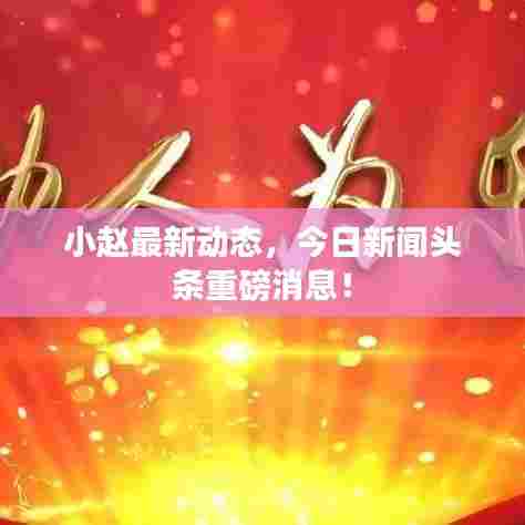 小赵最新动态，今日新闻头条重磅消息！