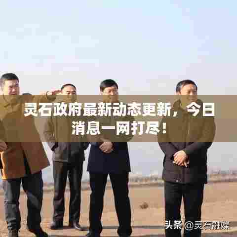 灵石政府最新动态更新，今日消息一网打尽！