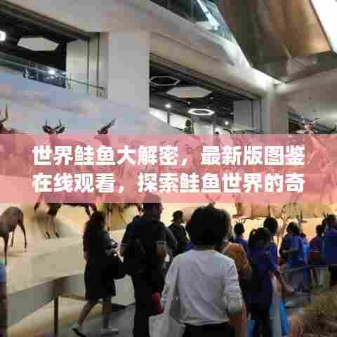 世界鲑鱼大解密，最新版图鉴在线观看，探索鲑鱼世界的奇幻之旅