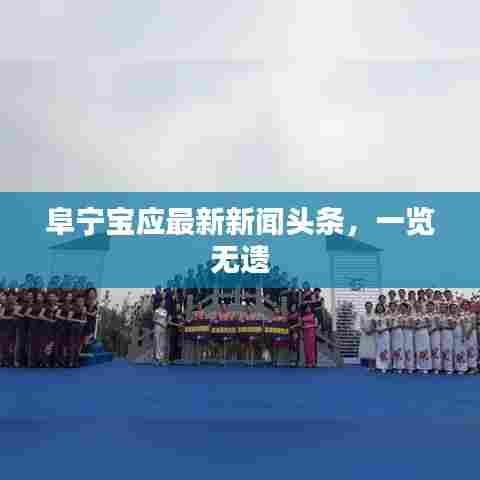 阜宁宝应最新新闻头条，一览无遗