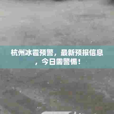 生离死别 第6页