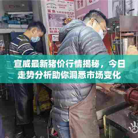 宣威最新猪价行情揭秘，今日走势分析助你洞悉市场变化