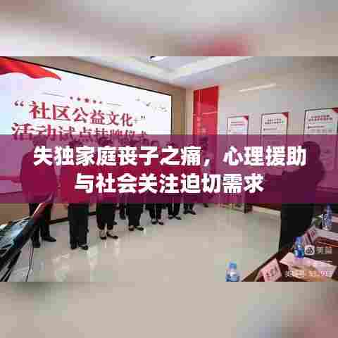 失独家庭丧子之痛，心理援助与社会关注迫切需求