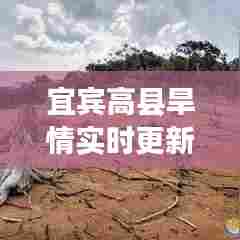 宜宾高县旱情实时更新，最新干旱情况一览