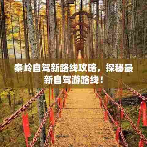 秦岭自驾新路线攻略，探秘最新自驾游路线！