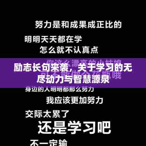 励志长句来袭，关于学习的无尽动力与智慧源泉