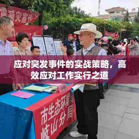 应对突发事件的实战策略，高效应对工作实行之道