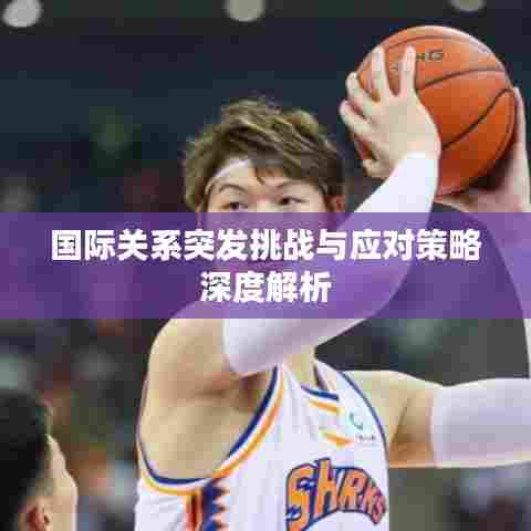 国际关系突发挑战与应对策略深度解析