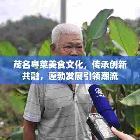 茂名粤菜美食文化，传承创新共融，蓬勃发展引领潮流