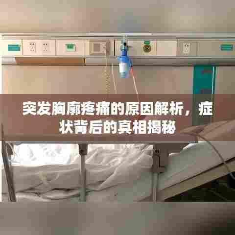 突发胸廓疼痛的原因解析，症状背后的真相揭秘