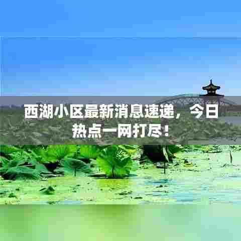 西湖小区最新消息速递，今日热点一网打尽！