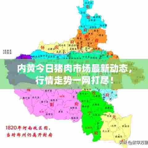内黄今日猪肉市场最新动态，行情走势一网打尽！