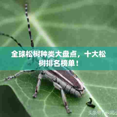 尽善尽美 第6页