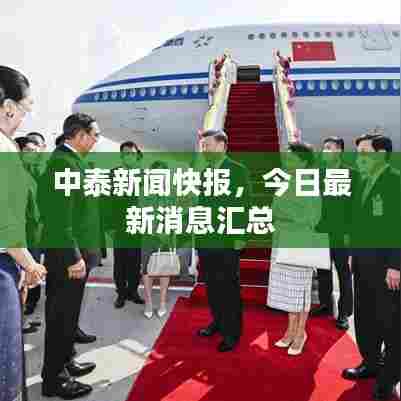 中泰新闻快报，今日最新消息汇总