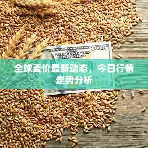 全球麦价最新动态，今日行情走势分析