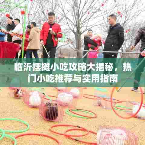 临沂摆摊小吃攻略大揭秘，热门小吃推荐与实用指南