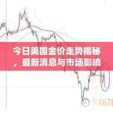 今日美国金价走势揭秘，最新消息与市场影响因素分析
