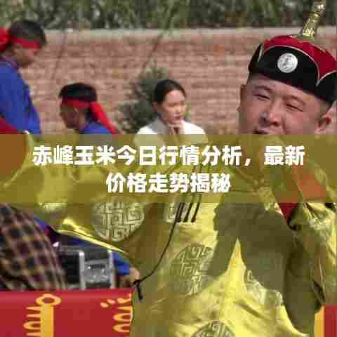 赤峰玉米今日行情分析，最新价格走势揭秘
