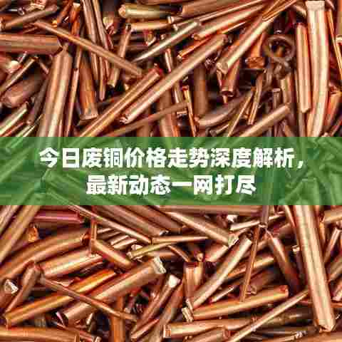 今日废铜价格走势深度解析，最新动态一网打尽