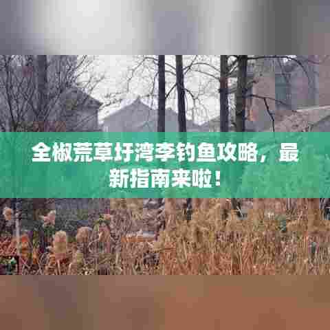 全椒荒草圩湾李钓鱼攻略，最新指南来啦！