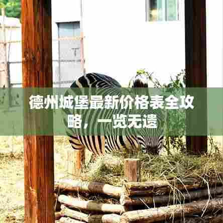 一张一翕 第6页