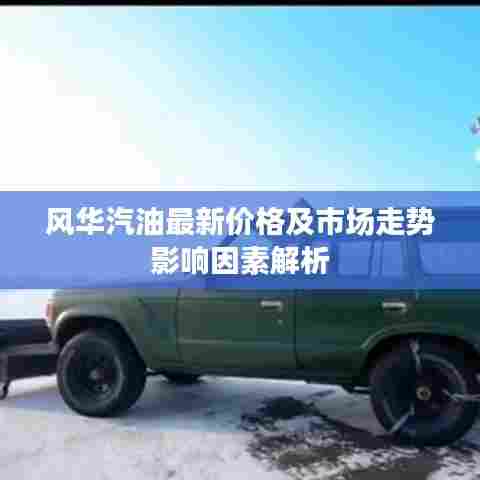风华汽油最新价格及市场走势影响因素解析