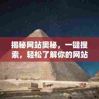 揭秘网站奥秘，一键搜索，轻松了解你的网站！