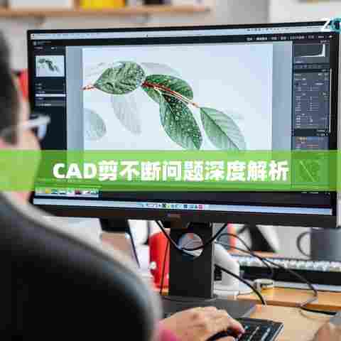 CAD剪不断问题深度解析