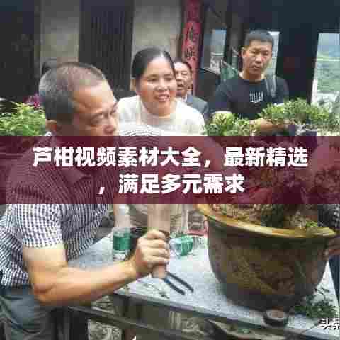 芦柑视频素材大全，最新精选，满足多元需求