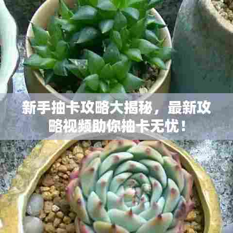 新手抽卡攻略大揭秘，最新攻略视频助你抽卡无忧！