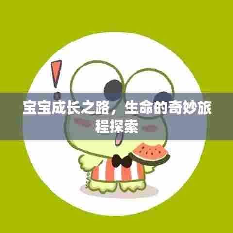 宝宝成长之路，生命的奇妙旅程探索