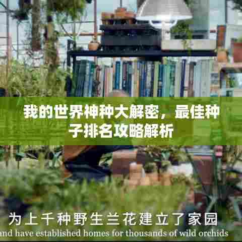 我的世界神种大解密，最佳种子排名攻略解析