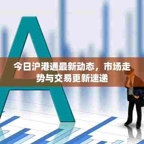 今日沪港通最新动态，市场走势与交易更新速递