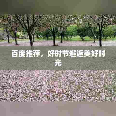 百度推荐，好时节邂逅美好时光