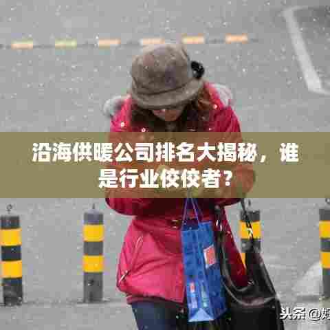 沿海供暖公司排名大揭秘，谁是行业佼佼者？