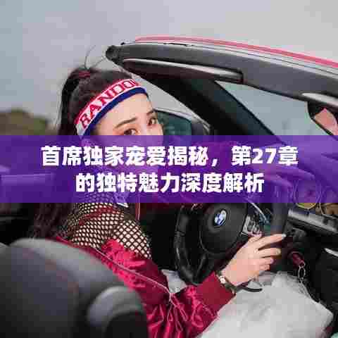 首席独家宠爱揭秘，第27章的独特魅力深度解析
