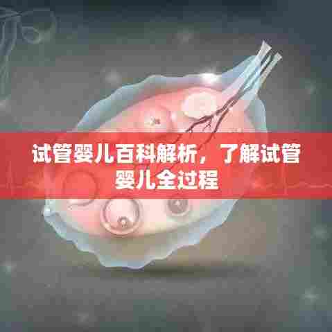 试管婴儿百科解析，了解试管婴儿全过程